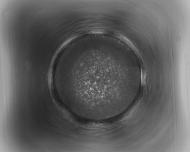 X0000099990531200805231454