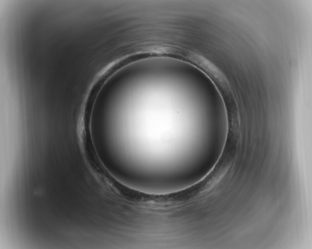 X0000099990532200805231454