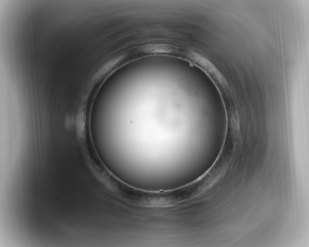X0000099990533200805231454