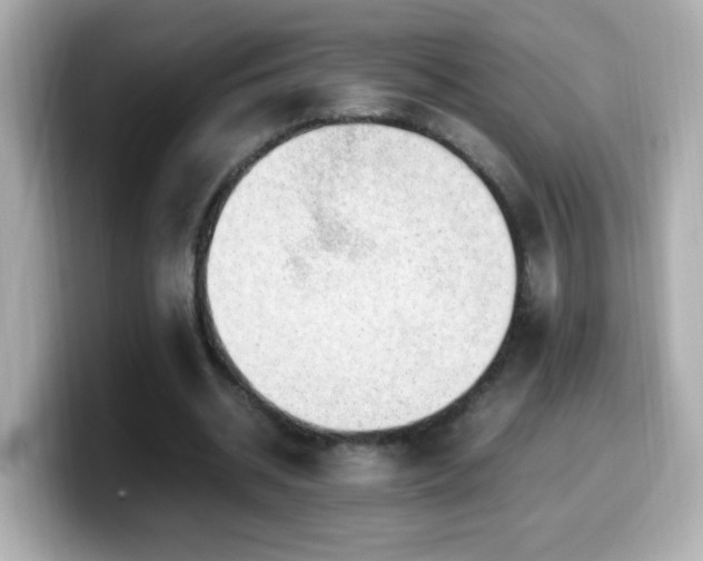 X0000099990534200805231454