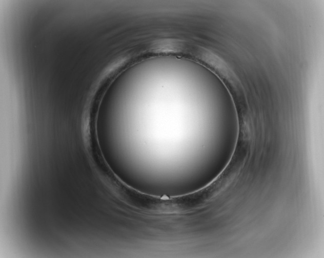 X0000099990535200805231454