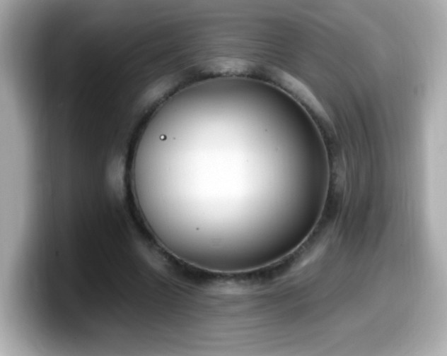 X0000099990538200805231454