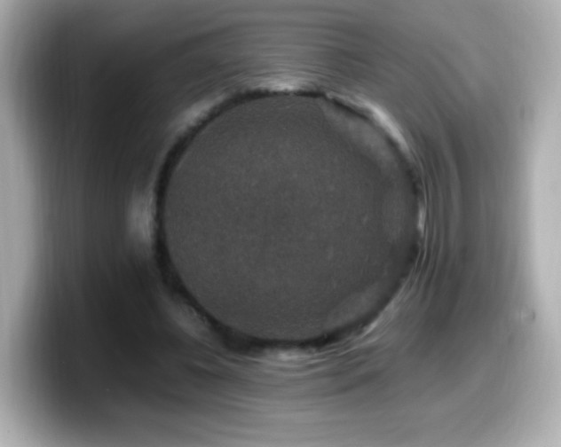 X0000099990540200805231454