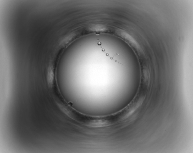 X0000099990541200805231454