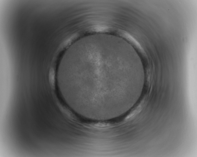 X0000099990542200805231454
