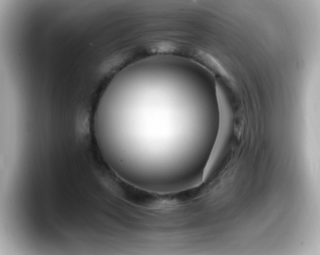 X0000099990543200805231454