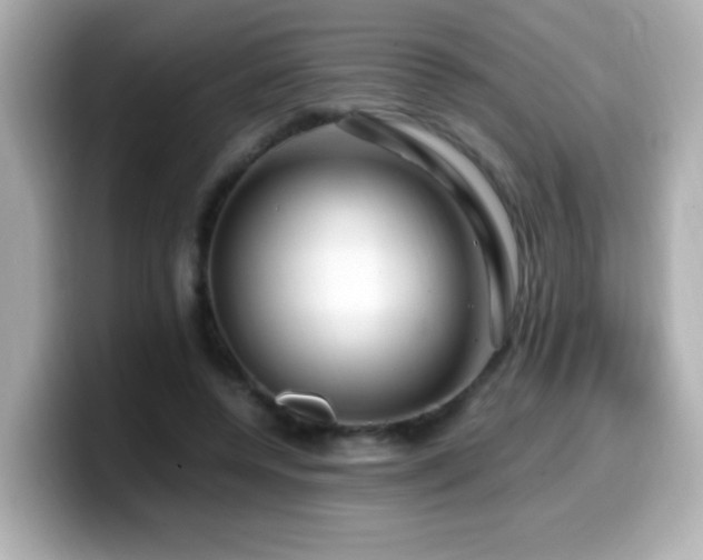 X0000099990544200805231454