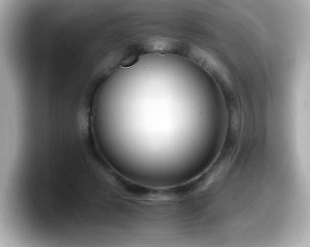 X0000099990545200805231454