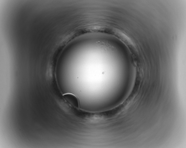 X0000099990546200805231454