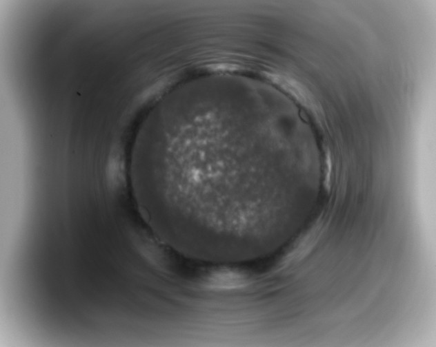 X0000099990547200805231454