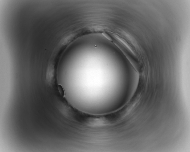 X0000099990548200805231454