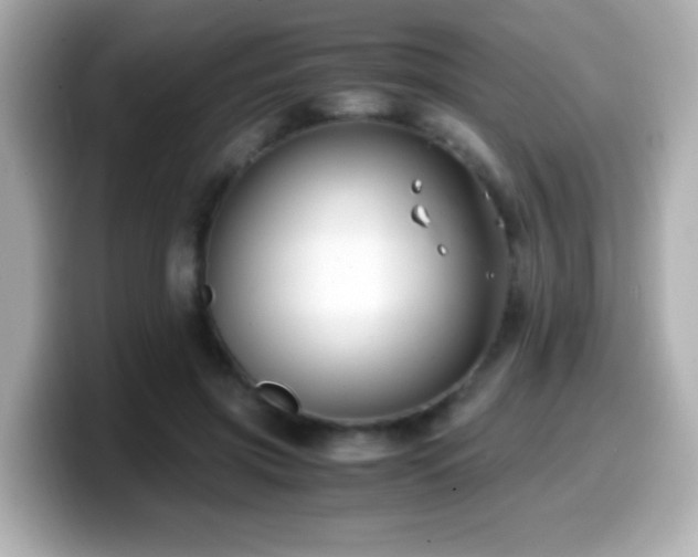 X0000099990549200805231454