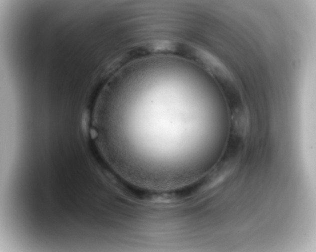 X0000099990550200805231454
