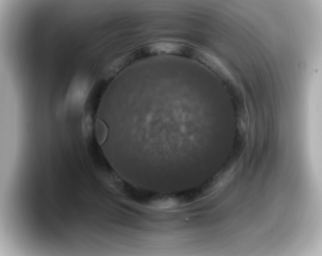 X0000099990551200805231454