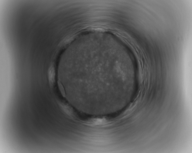 X0000099990552200805231454