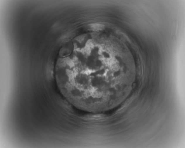 X0000099990553200805231455