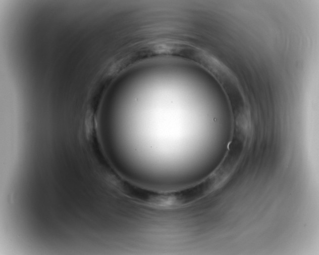 X0000099990554200805231455