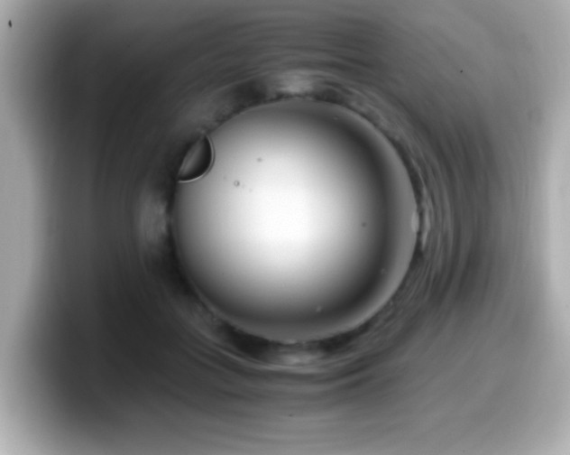 X0000099990555200805231455
