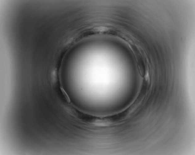 X0000099990556200805231455