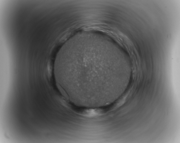 X0000099990558200805231455