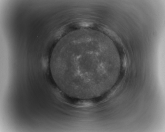 X0000099990559200805231455