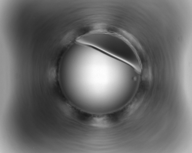 X0000099990560200805231455