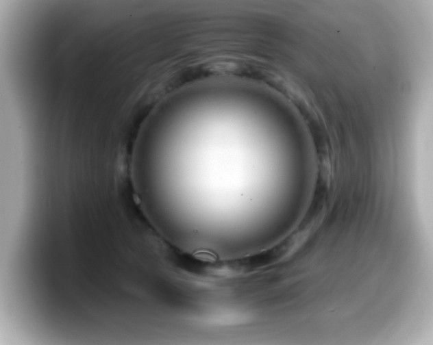 X0000099990561200805231455