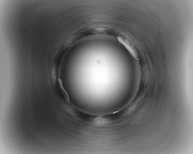 X0000099990562200805231455