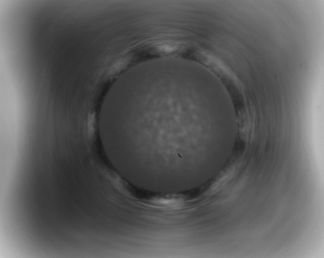 X0000099990563200805231455