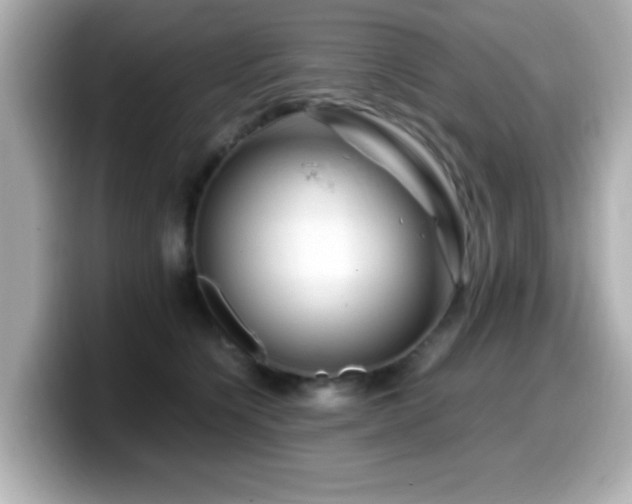 X0000099990564200805231455
