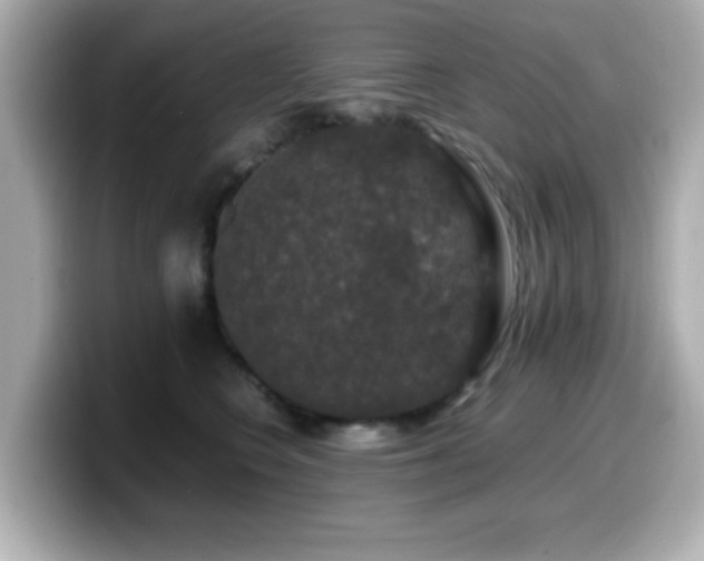 X0000099990566200805231455