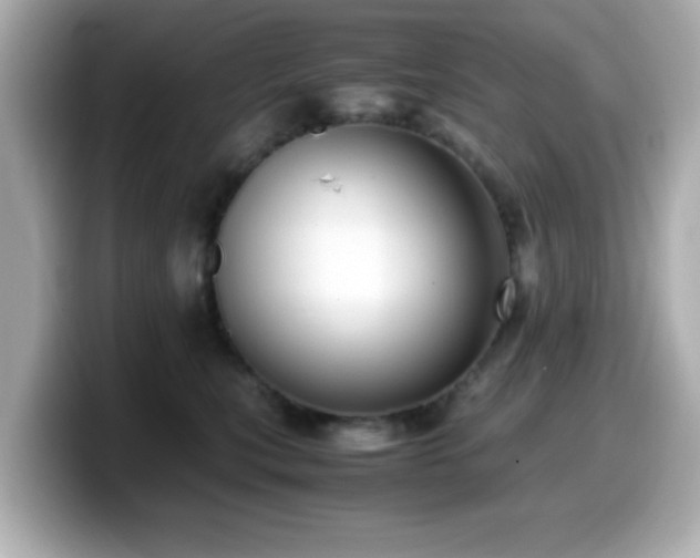 X0000099990567200805231455