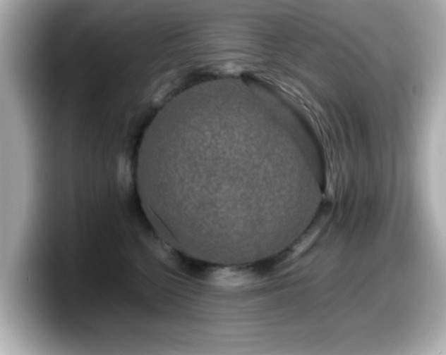 X0000099990568200805231455