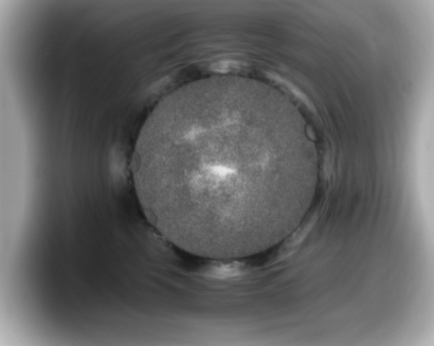 X0000099990569200805231455