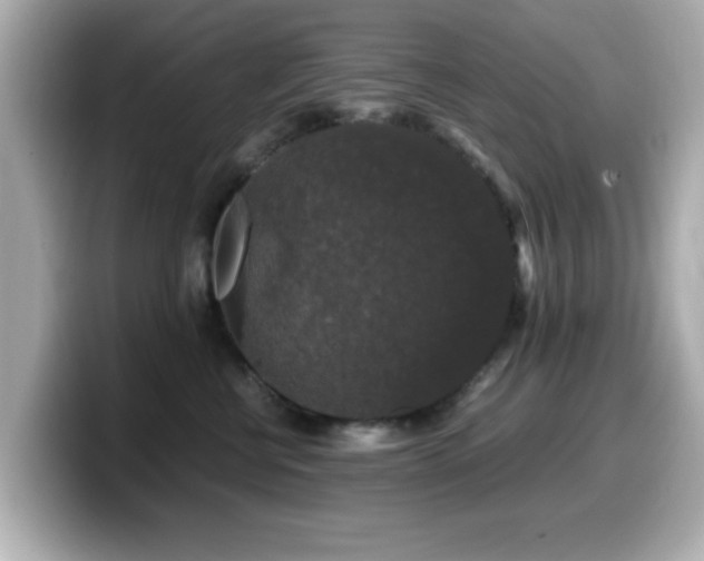 X0000099990570200805231455