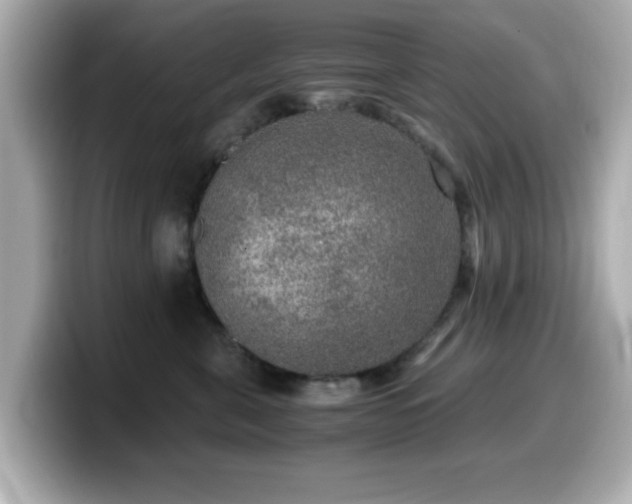 X0000099990571200805231455