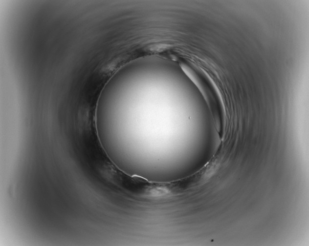 X0000099990572200805231455