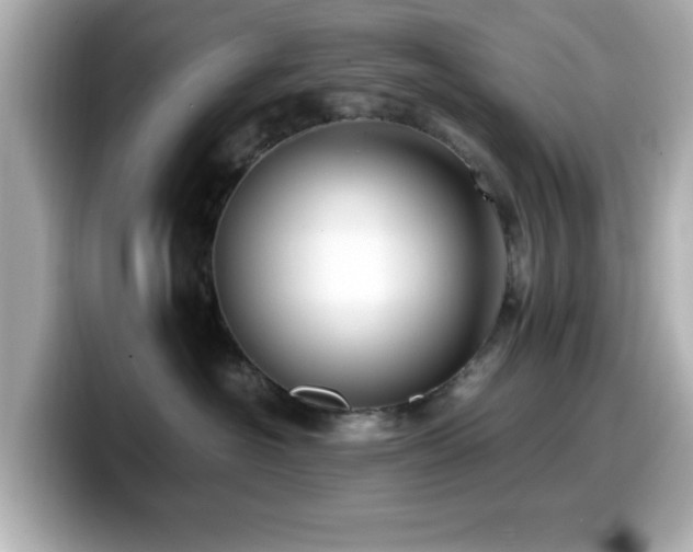 X0000099990574200805231455