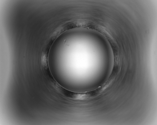 X0000099990575200805231455
