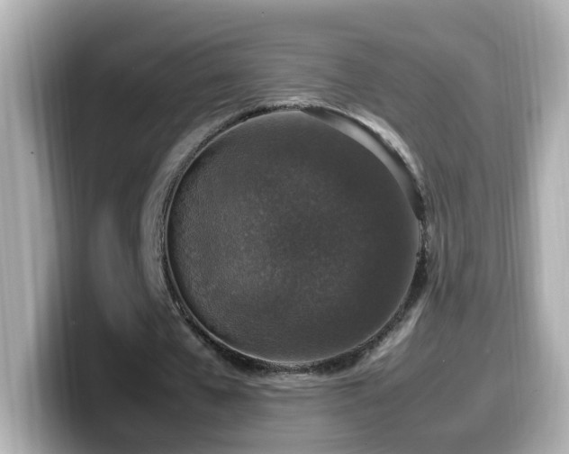 X0000099990577200805231454