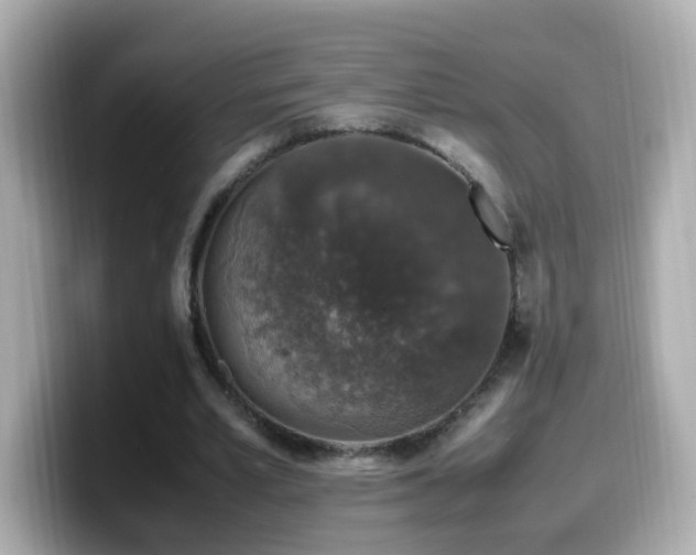 X0000099990581200805231454