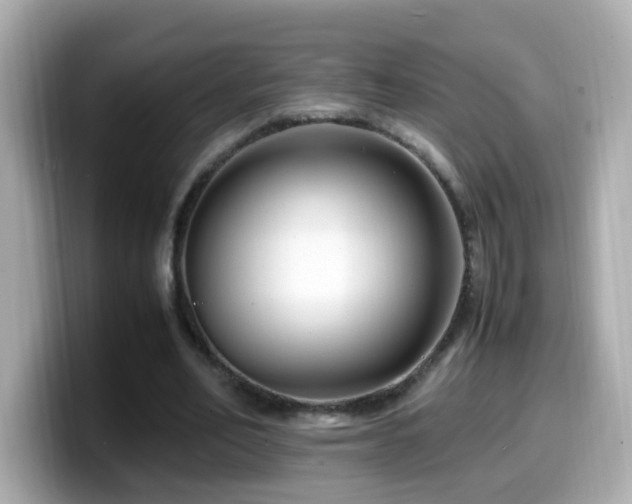 X0000099990582200805231454