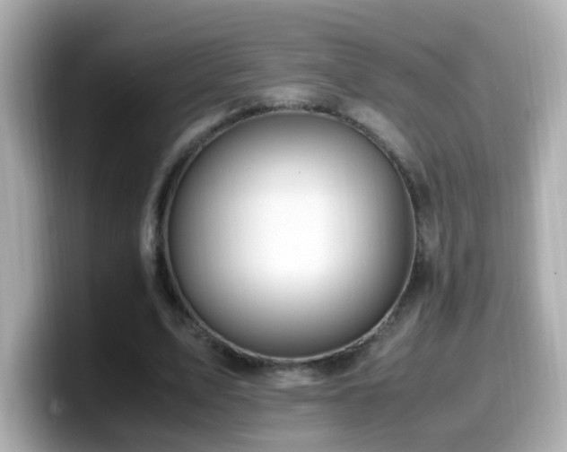 X0000099990583200805231454