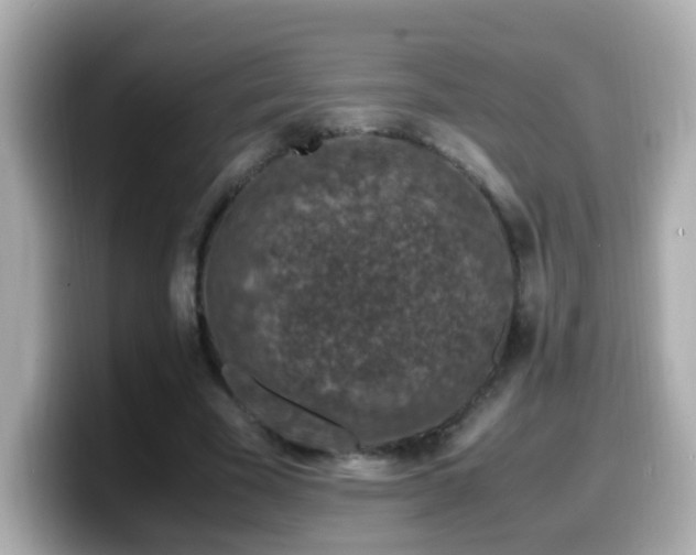 X0000099990585200805231454