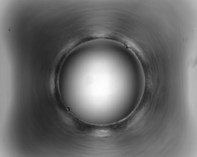 X0000099990586200805231454