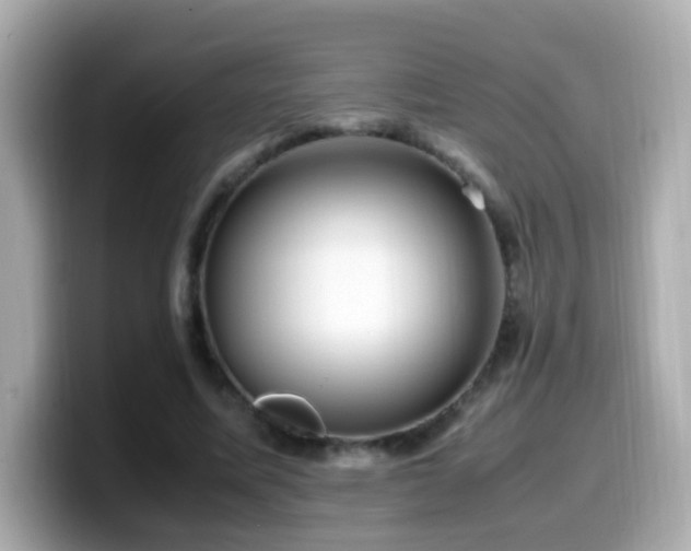 X0000099990587200805231454
