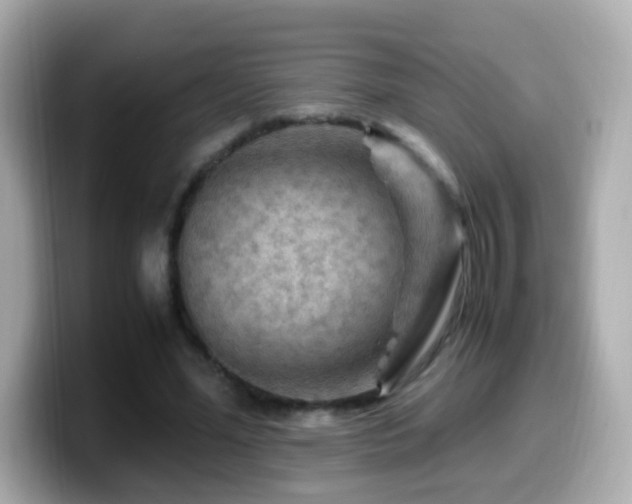 X0000099990588200805231454