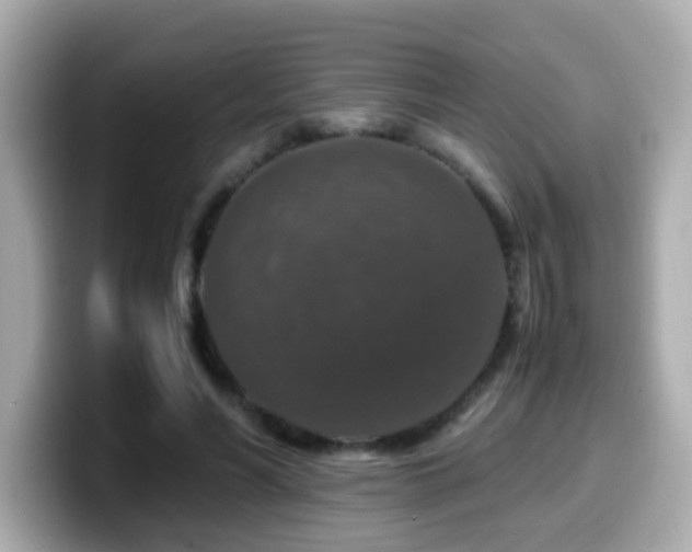 X0000099990590200805231454