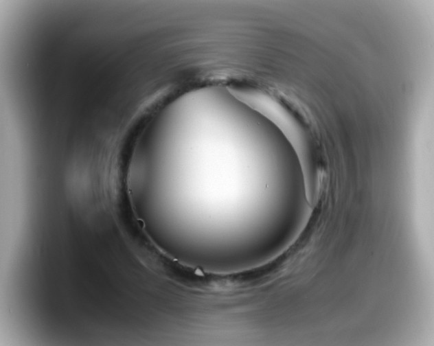 X0000099990591200805231454