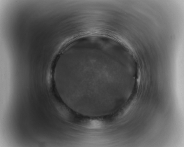 X0000099990592200805231454